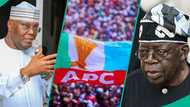 Breaking: APC fires shot at Atiku over fresh allegations against Tinubu