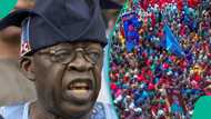 Wasu matasa da aka sa a kwamitin yakin zabe sun wulakanta Tinubu a gaban kowa