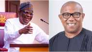 Wike finally reveals who chased Peter Obi out of PDP as party crisis worsens