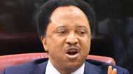 Yanzu Yanzu: Kotu ta bayar da belin Shehu Sani