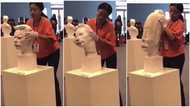 Flexible sculpture that can be stretched into different shapes surprises people, video goes viral