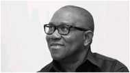 2023: Peter Obi drops bombshell, reveals 1 thing Nigerians need to learn ahead of next year's poll
