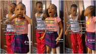 "He needs a lawyer": Brother & sister fight, mum instructs they only explain themselves in Yoruba, boy vexes