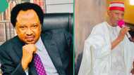 Kano: Shehu Sani ya magantu kan takardar kotu da ta tabbatar da nasarar Abba Kabir Yusuf