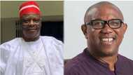 Zaben 2023: Labour Party Na Tattaunawa Da Kwankwaso Har Yanzu, In Ji Okupe