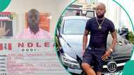 KC Luxury: NDLEA busts drug cartel, arrests social media influencer in Lagos