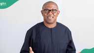 UK election: Peter Obi sends message to supporters ahead of July 4 poll