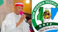 NNPP takes crucial step over sack of Kano governor, Abba Yusuf