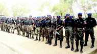 Police arrest bandit commander in charge of four forests in Zamfara