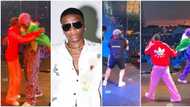 Wizkid & Rema give thrilling performances at Oh My! music fest, fans react as stage cameraman gets carried away