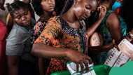 Bayelsa, Imo, Kogi Guber Polls: Yiaga predicts low voter turnout, gives reason