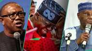 2027 election: Lamido sends message to El-Rufai, Kwankwaso, others as plot against Tinubu deepens