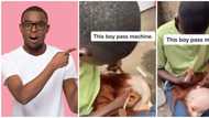 Internet users commend young boy over amazing wig-making skills: "Very good handwork"