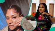 Nkechi Blessing survives POP accident for 2nd time in 2 months, shares plan: "Sign to pack, leave"