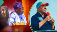 BREAKING: Tinubu's aide reacts to Imo election, says "early results favour Hope Uzodimma"