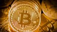 Cryptocurrency scammers stole N5.8 trillion worth of crypto in 2021