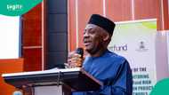 Analyst rates education minister’s performance, lists achievements