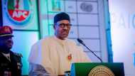 Economic meltdown: FG appeals to airline operators to reconsider planned strike