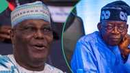 Dambarwar Satifiket: Lauya Ya Yi Hasashen Makomar Atiku Da Tinubu A Kotun Koli, Ya Fadi Dalilai