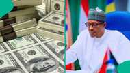 Buhari’s wealth and money in his bank account as declared in his first and second terms released
