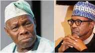 Anyone who says Nigeria is fine now should be examined, Obasanjo spits fire