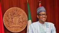 Insecurity: Go after sponsors of killers, stop accusing us, Northeast Youths tell Buhari