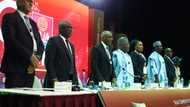 BUA Cement PLC records strong revenue growth of 90.5% to N867.5 billion, pays N2.05 dividend per share