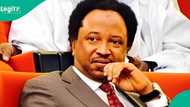 Shehu Sani ya yi karatun ta natsu, ya gano hanyar magance matsalar 'yan bindiga