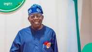 Breaking: Tinubu nominates 39 year old for chairmanship appointment amid Renewed Hope pursuit