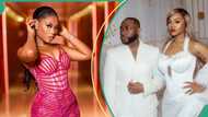 Chivido 2025: Sophia Momodu fights critics over marriage advice amid Davido and Chioma’s wedding