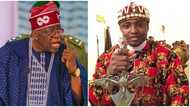 IPOB: Ohanaeze tells President Tinubu how to shut Simon Ekpa up in south-east