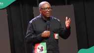 Peter Obi still firmly in Labour Party, says Obidient movement leader