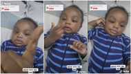 Baby who can't talk yet learns to count with his fingers after mum showed him, video surprises people