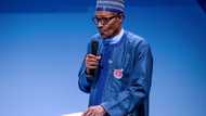 "I am the African champion of anti-corruption", says President Buhari