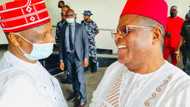 Kwankwaso: Na ki goyon bayan Tofa, Rimi, Buhari na zabi Abiola, Obasanjo da Jonathan