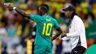 2025 AFCON: Senegal legend Aliou Cisse names Nigeria, North African teams as surprising contenders