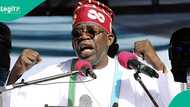 Just in: Tinubu begs Nigerians for one thing as many continue to groan over hardship