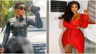 "This shape will not blind us": Destiny Etiko storms internet in a black leather suit, fans admire her