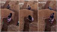 "They are probably happier": Wife uses axe to dig building foundation, works like strong man beside husband