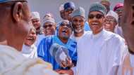 2019: Jam’iyyun siyasa 13 sun tsayar da Buhari a matsayin dan takararsu