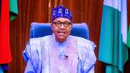 President Buhari lists economic achievements in his independence day speech, hails Emefiele