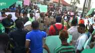 Protest erupts as NAFDAC's sachet alcohol ban sparks concerns over local industries: "5m jobs at risk"