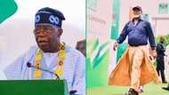 Tinubu's top media aide drags Dino Melaye following unique outfit to ADC convention