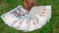 Experts speak on Naira recovery as it returns to above N700 to a dollar at black market