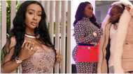 “Chioma’s body job is trash”: Video as Davido’s Anita Brown blasts singer’s wife, drinks alcohol with friends