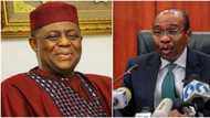 Naira Notes Swap: “Emefiele Weaponising CBN,” Tinubu’s Ally Makes Another Serious Allegation Against Gov