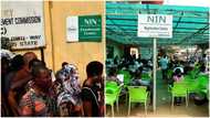 New data shows Kano State and northern regions lead with highest NIN registrations in Nigeria