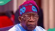 100 days in office: 3 strong issues troubling Tinubu's government