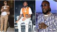 Wizkid lives up to his song 'no stress', looks away as Davido and Burna Boy get physical in nightclub (video)
