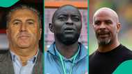 Peseiro, Finidi, Chelle: Rating all coaches as Nigeria suffer World Cup qualification blow